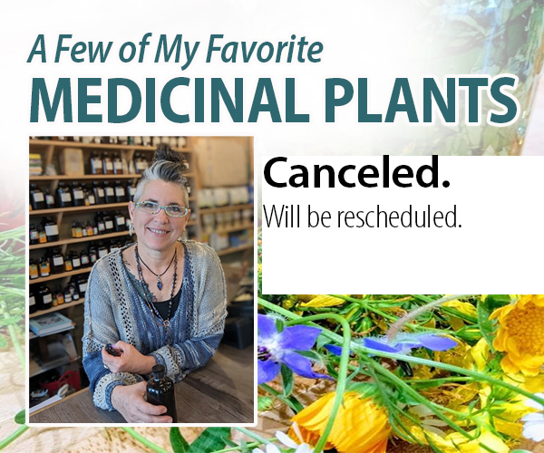 A Few of My Favorite Medicinal Plants