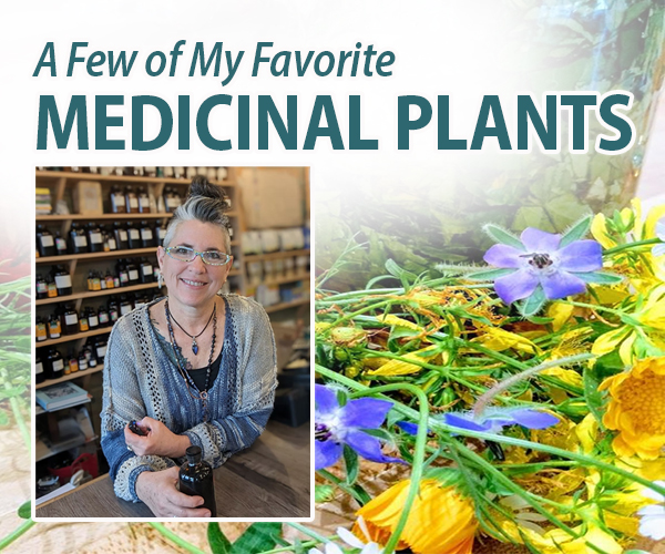 A Few of My Favorite Medicinal Plants