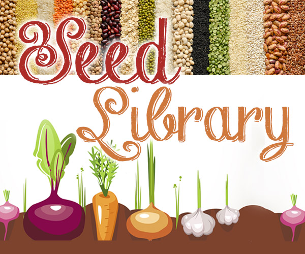 Seed Library